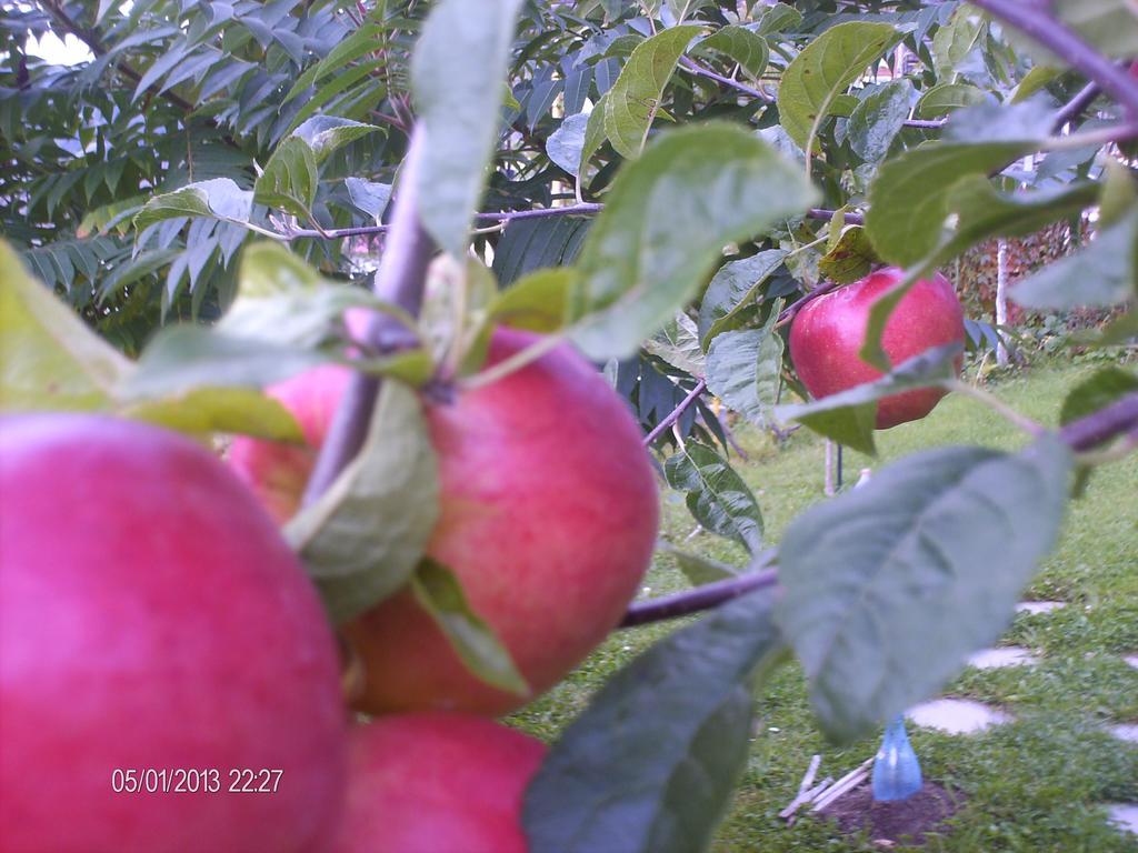 Pension Cote D'Amour 모이에치우 데 조스 외부 사진